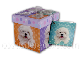 Caja XS rachaelhale 10x10x10cm Perros
