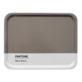 Bandeja Pantone gris 8