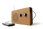 D2-sk-cardradio1-a