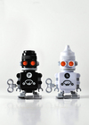 D2-sk-sapbot1-a