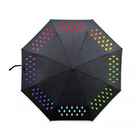 D2-sk-umbrella2-a