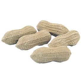 Gomas de borrar en forma de cacahuetes set 4 ud.