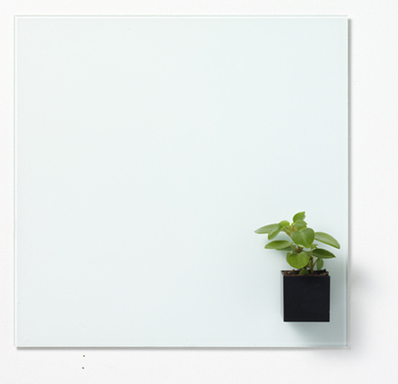 Pizarra Cristal Magnética Blanca 45X45